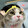 mengmiaowanwu