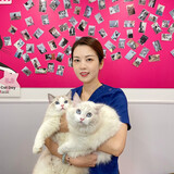 yangbuoudeyangshouyi