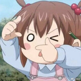 shinihuahuagea