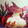 wanhua_____02
