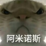 yilabaoヅ
