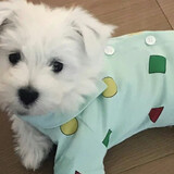 tututututudouya