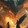 Tanvir Ahamed_5272