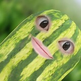 hepijiuhaitiaoshai