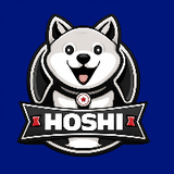 ร้านสกรีนเสื้อโฮชิ