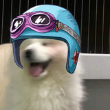 doudouquaner