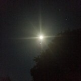 bili_1141673552