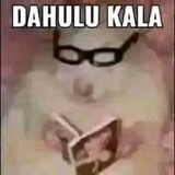 Kapten elsa