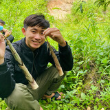 Nhỏ Gamings