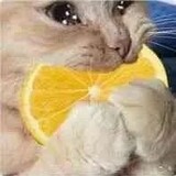 tttttin_____luo