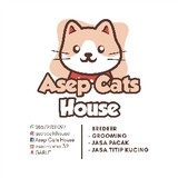 asepcatshouse