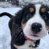 dwtioveu_02_04