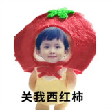 xiaochengyoulaile