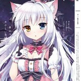meownight