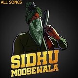 Sidhu moose wala Fan