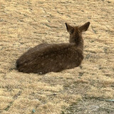 heguoqugaobieyihouwo