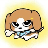 xiaozhaomeiwenti