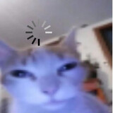 wsxazz
