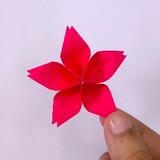 scrapcarved