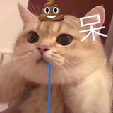 yulinlaoshi___