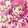 precure_curedream