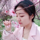 caixidianying