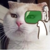 dandingruby