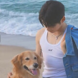 orcccca_0613