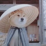 xiaoerkanshijieya