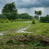 village life videos