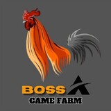 Boss_A-GF