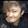 sheyinglengfeng