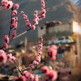 Hafiz Fahad_8303