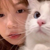 jiejieaihebingmeishi