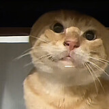 strqngerdqnger_02_03