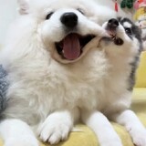 00ximenjun00