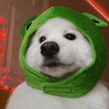 zuozuoclouds