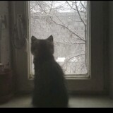 bedrockbro_03_02
