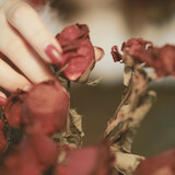 ____ongxue