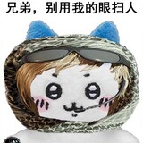 swhinx