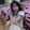 xiaoqingeryou
