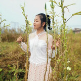 yuanliandemei