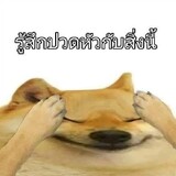 คนบ้าในมหาสมุทร