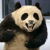 nimenxiaidelaowang