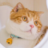 locaxianのmeirimiao