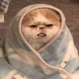 Mild Narisara Sarnkong