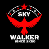 SkywalkerMaverick