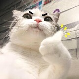 xushiza