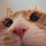 ____tt