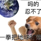 zanyingbiyang______